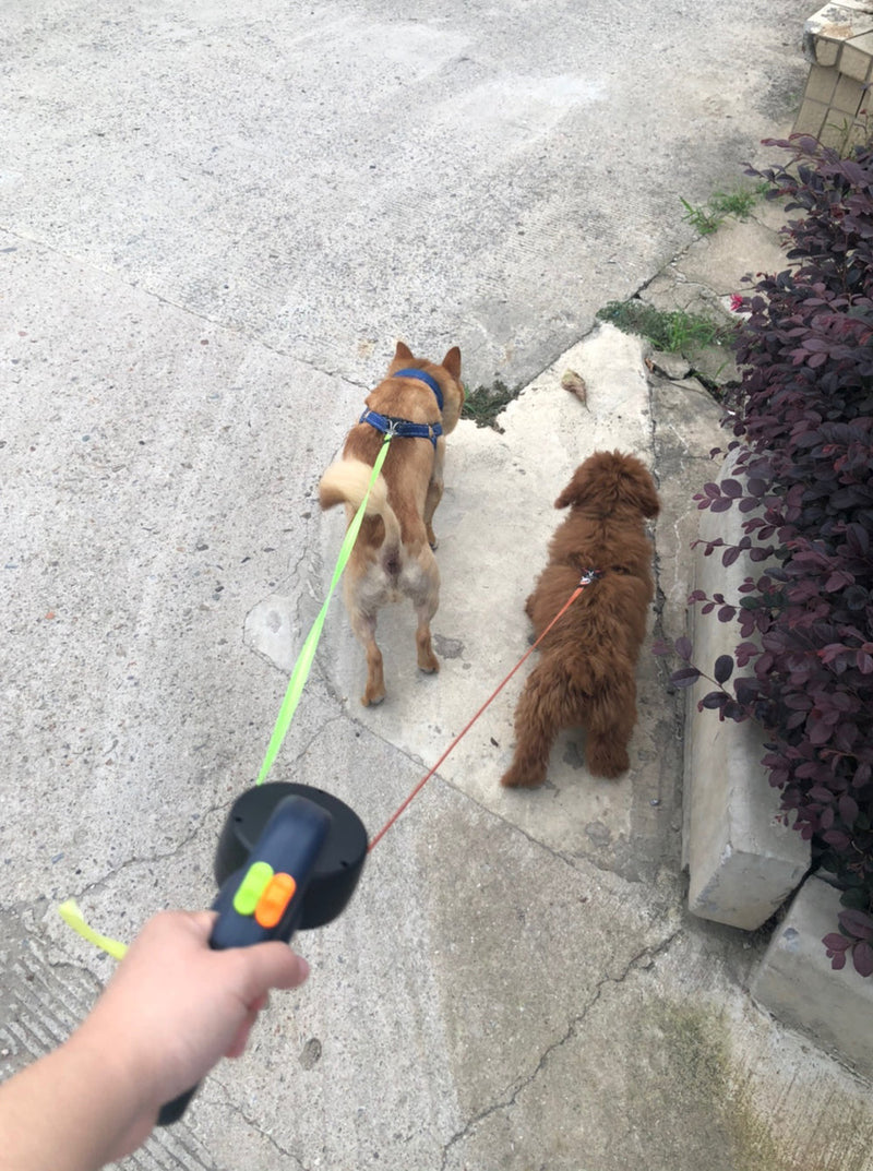 Coleira Dupla Retrátil com Lanterna | Dog Collar Pro - Praticidade No Passeio Com Seu Pet