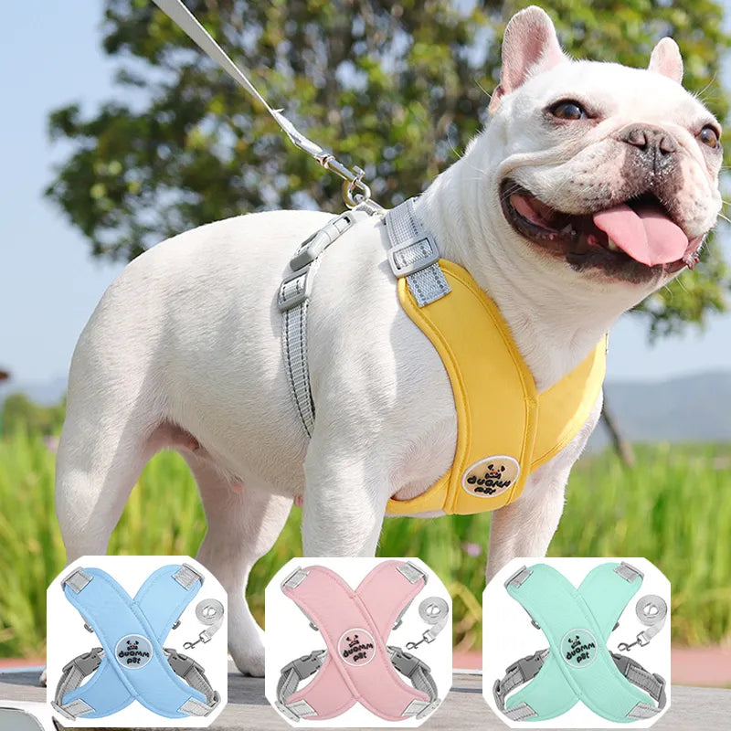 Kit Coleira Peitoral & Guia | Duomm Pet - Mais Estilo e Conforto Para Seu Pet