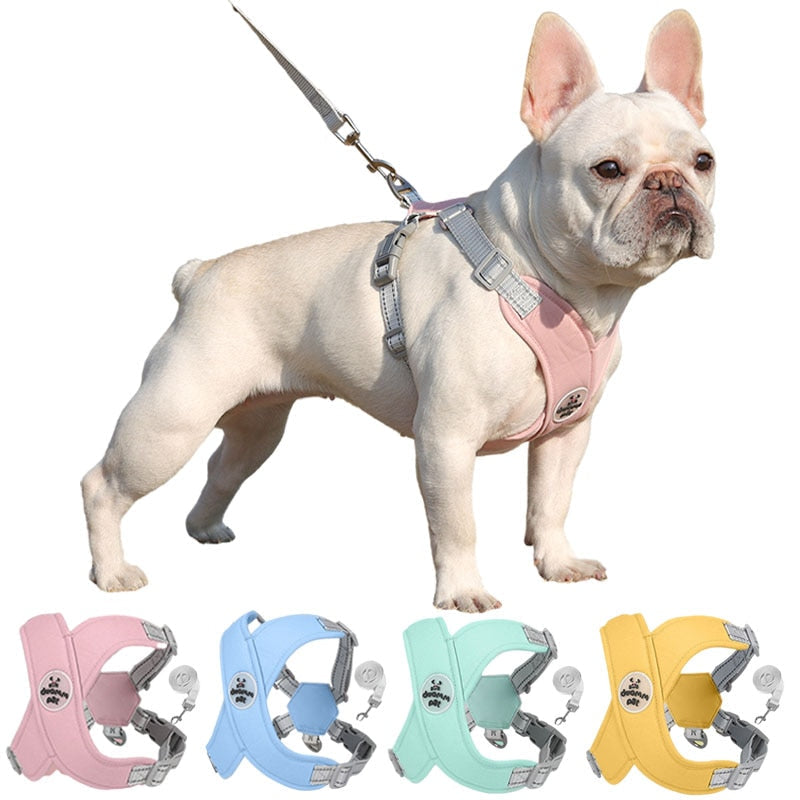 Kit Coleira Peitoral & Guia | Duomm Pet - Mais Estilo e Conforto Para Seu Pet