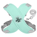 Kit Coleira Peitoral & Guia | Duomm Pet - Mais Estilo e Conforto Para Seu Pet