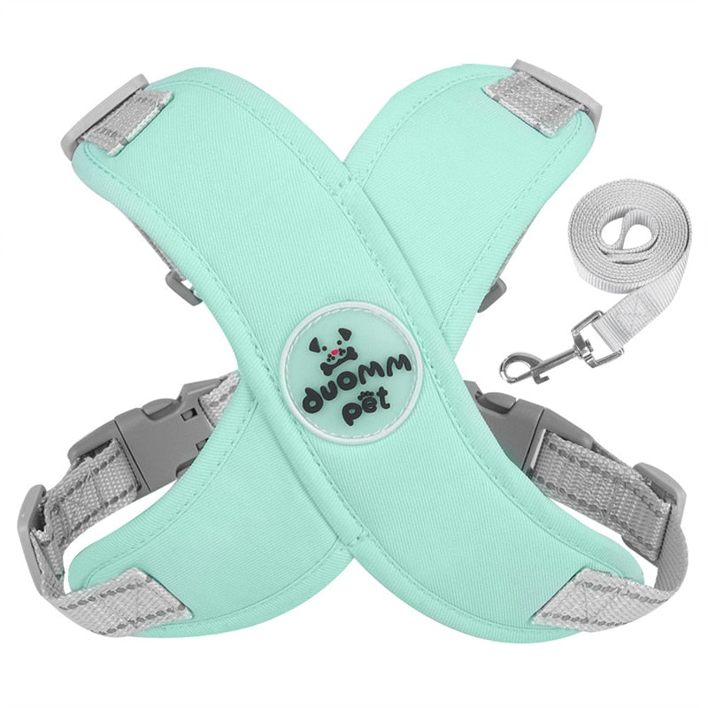 Kit Coleira Peitoral & Guia | Duomm Pet - Mais Estilo e Conforto Para Seu Pet
