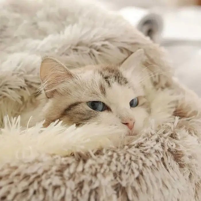 Cama Toca de Pelúcia para Gatos | Cat House - Mais Conforto e Menos Estresse para Seu Pet