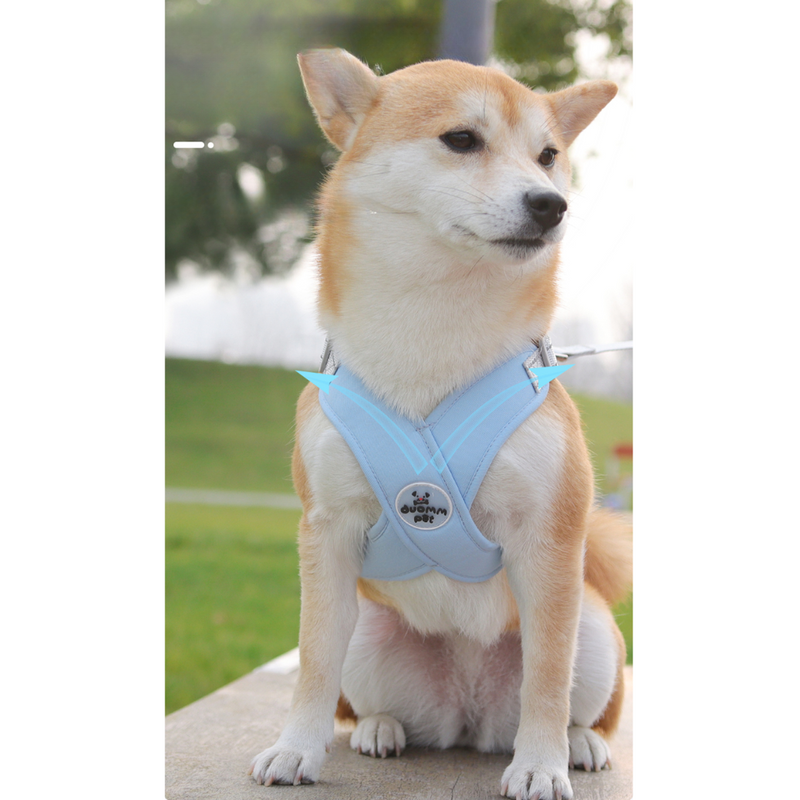 Kit Coleira Peitoral & Guia | Duomm Pet - Mais Estilo e Conforto Para Seu Pet