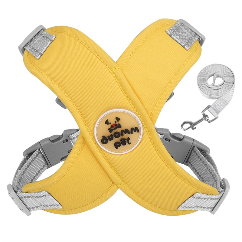 Kit Coleira Peitoral & Guia | Duomm Pet - Mais Estilo e Conforto Para Seu Pet