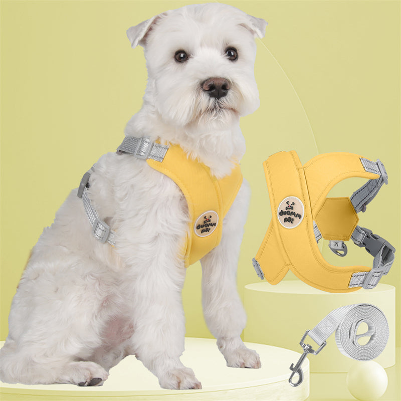 Kit Coleira Peitoral & Guia | Duomm Pet - Mais Estilo e Conforto Para Seu Pet