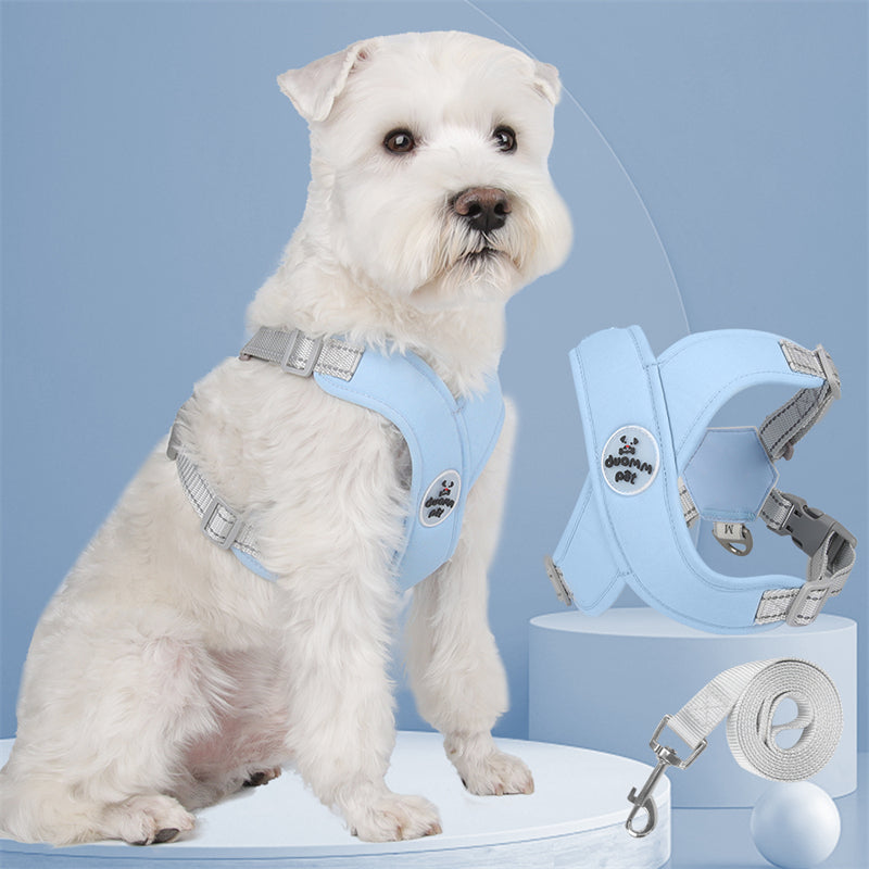 Kit Coleira Peitoral & Guia | Duomm Pet - Mais Estilo e Conforto Para Seu Pet